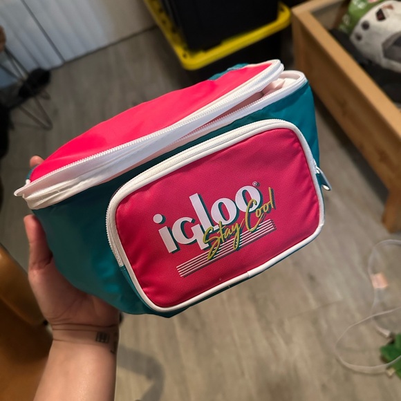 Igloo Handbags - Igloo Pink and Teal Insulated Fanny Pack